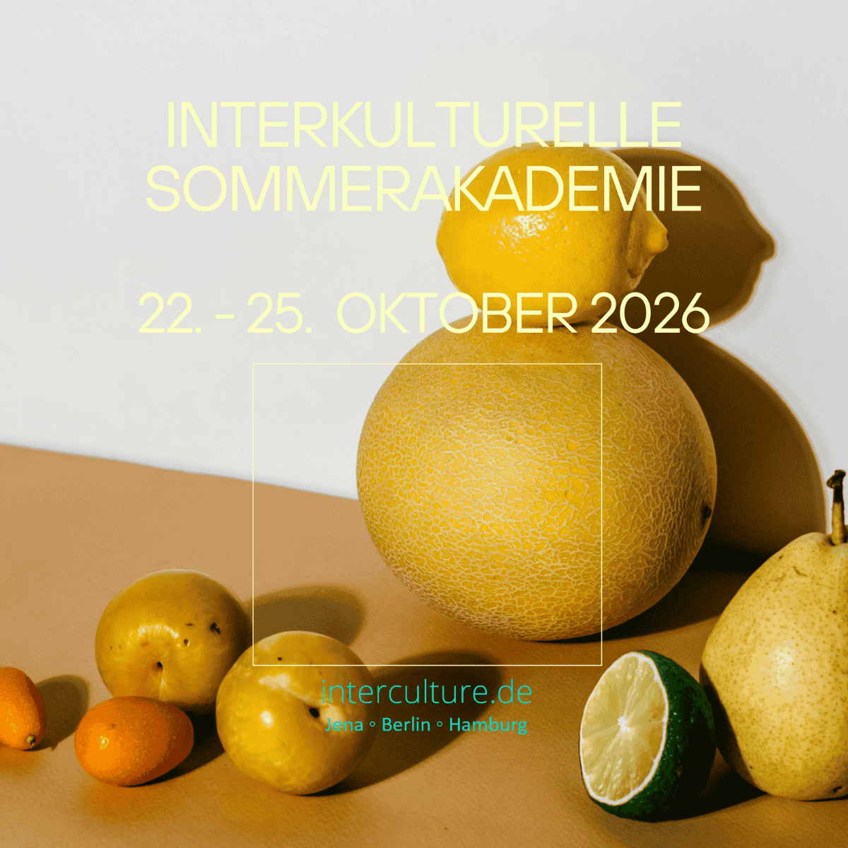 Interkulturelle Sommerakademie 2026
